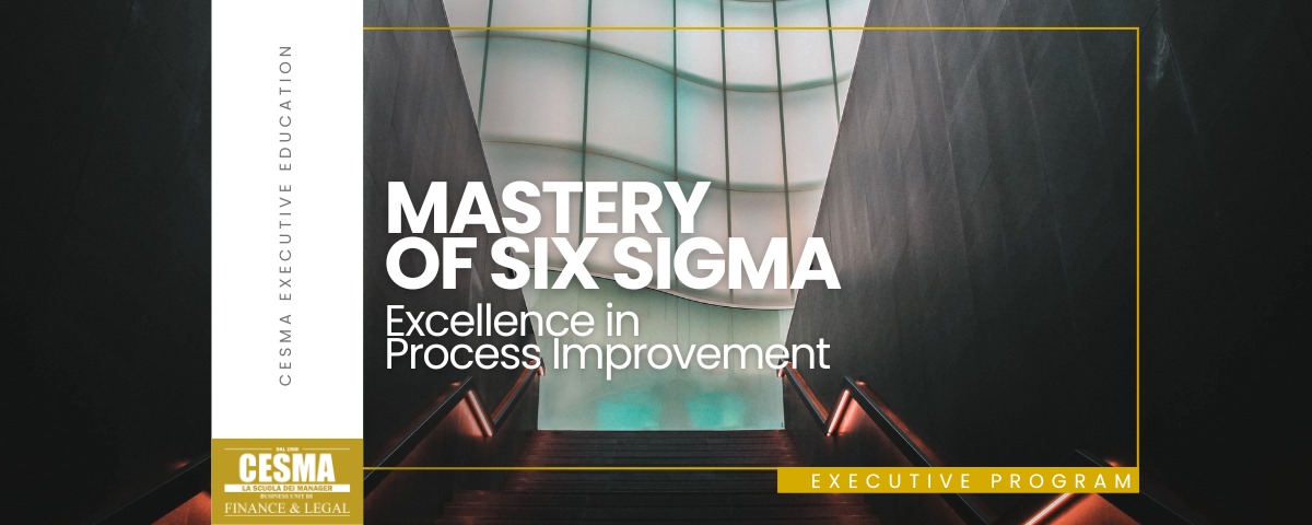 Mastery of Six Sigma